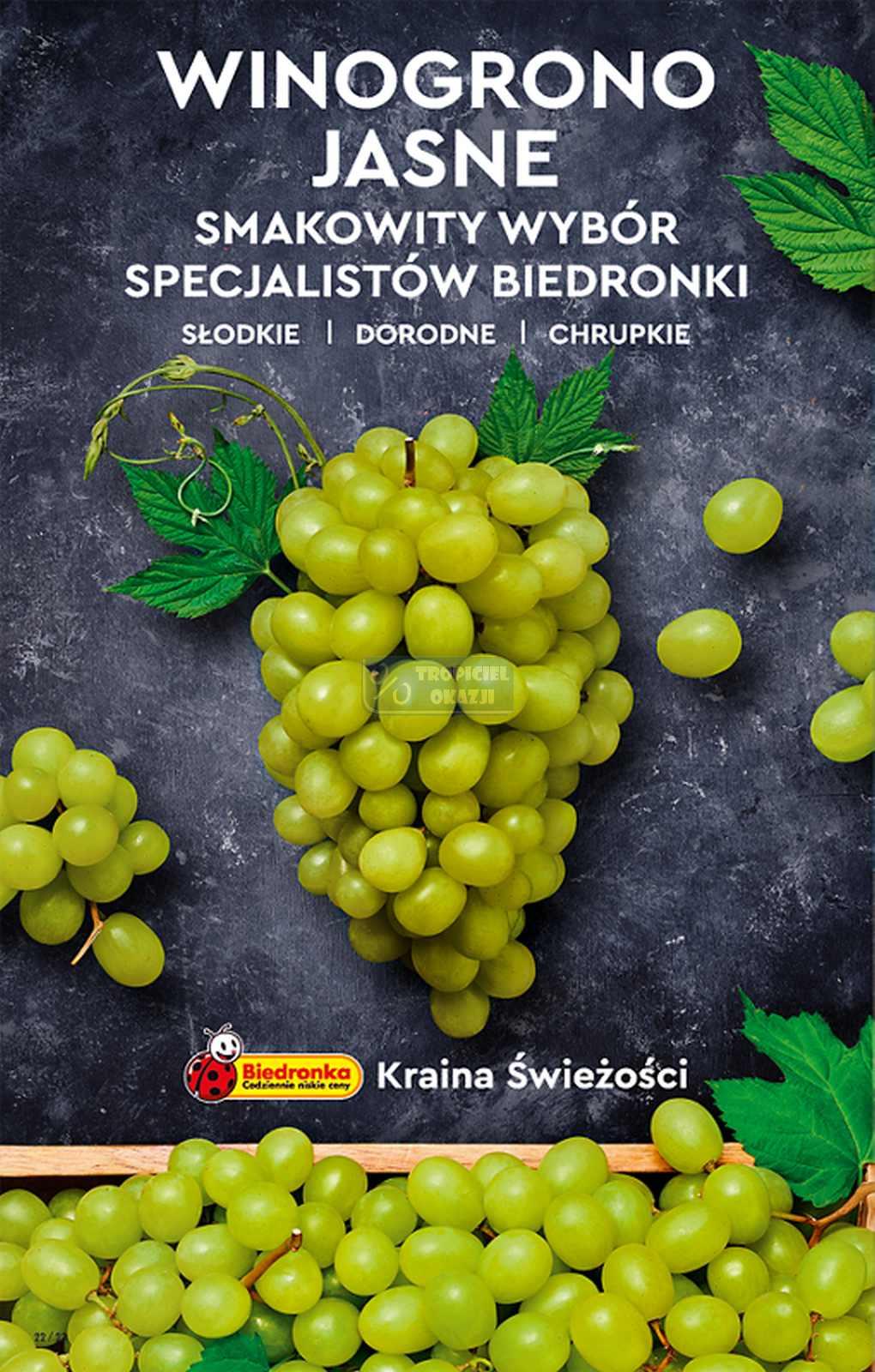 Gazetka promocyjna Biedronka do 14/09/2022 str.22
