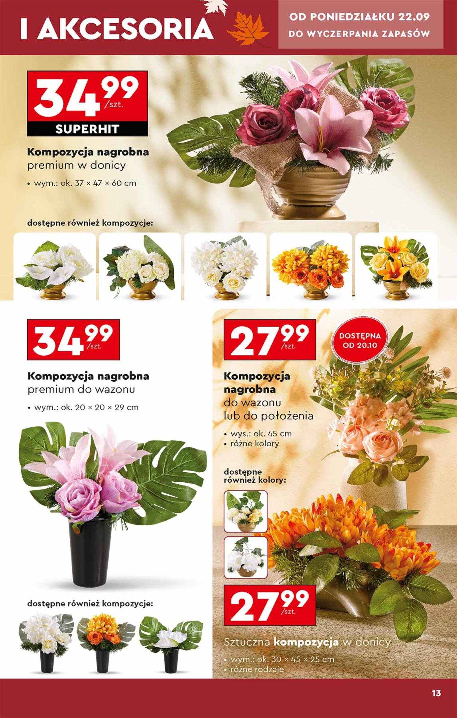 Gazetka promocyjna Biedronka do 31/10/2025 str.13