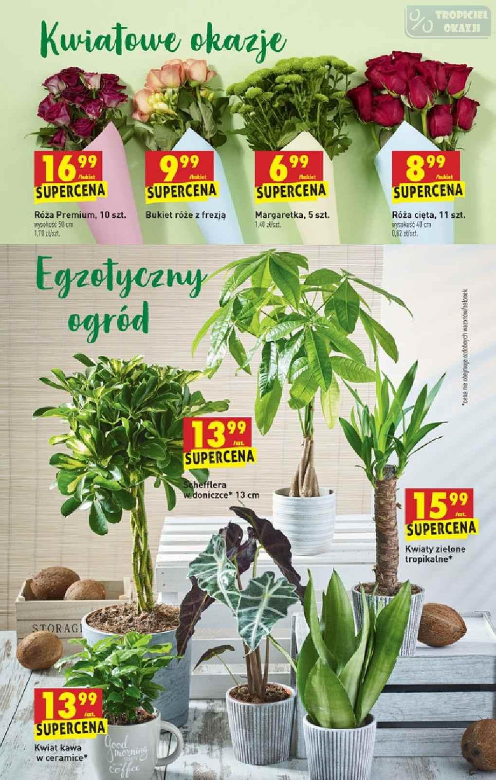 Gazetka promocyjna Biedronka do 12/06/2019 str.63