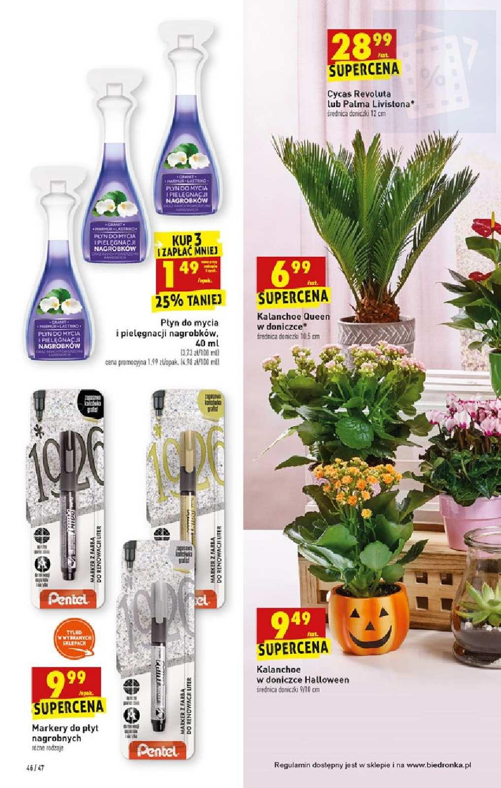 Gazetka promocyjna Biedronka do 09/10/2019 str.46