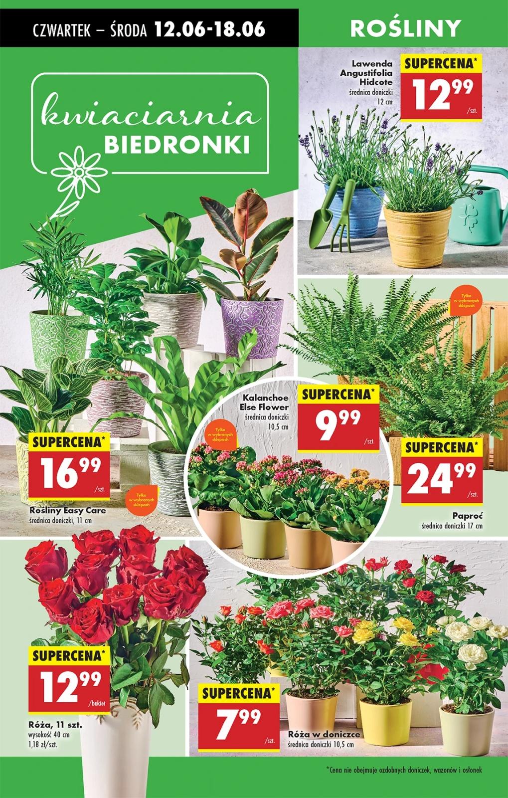 Gazetka promocyjna Biedronka do 18/06/2025 str.52