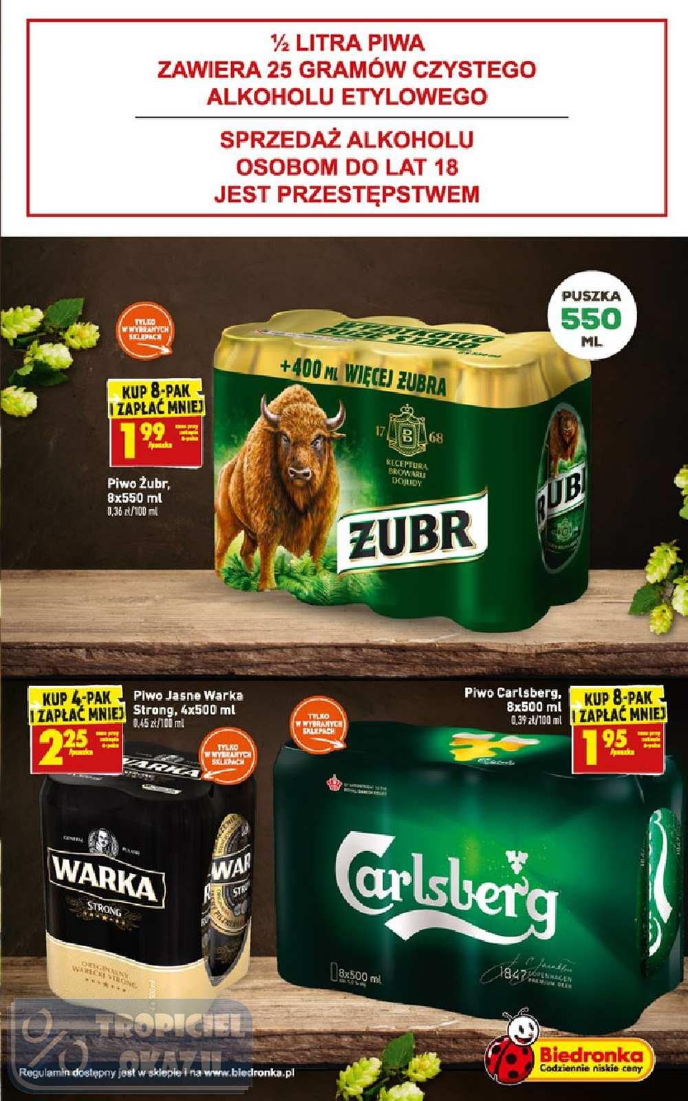 Gazetka promocyjna Biedronka do 13/03/2019 str.41