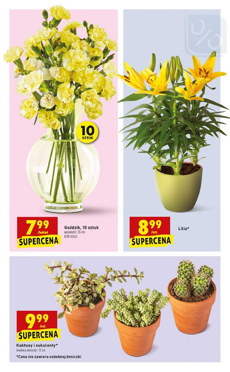 Gazetka promocyjna Biedronka do 09/06/2018 str.47