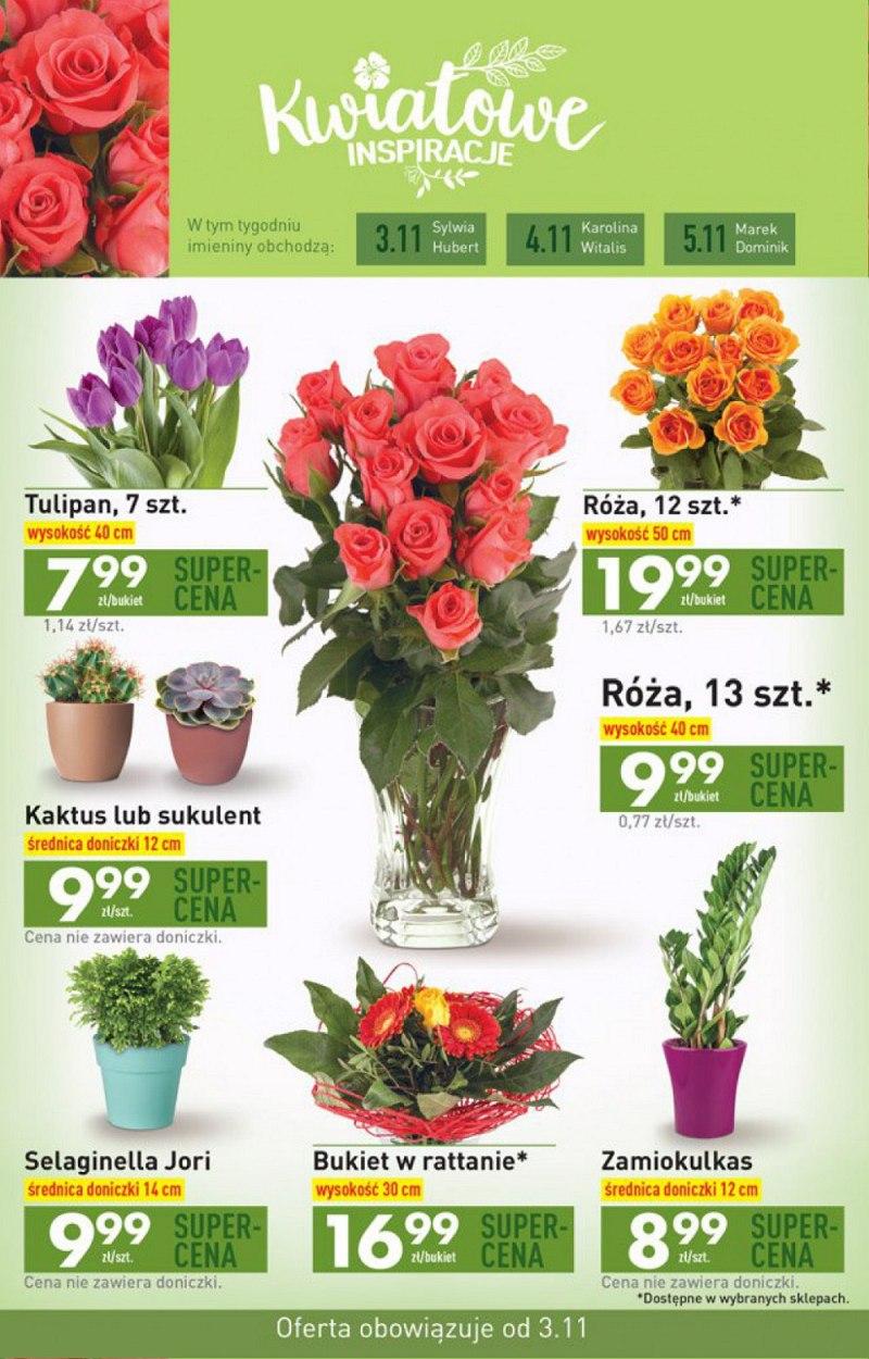 Gazetka promocyjna Biedronka do 08/11/2017 str.36