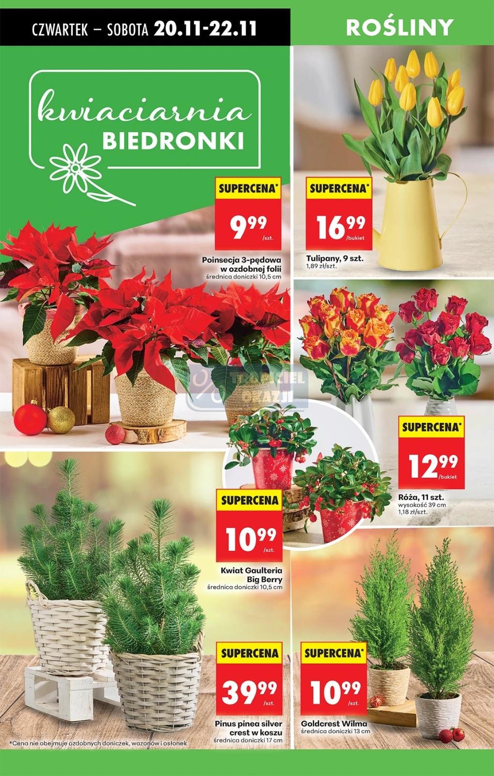 Gazetka promocyjna Biedronka do 26/11/2025 str.17