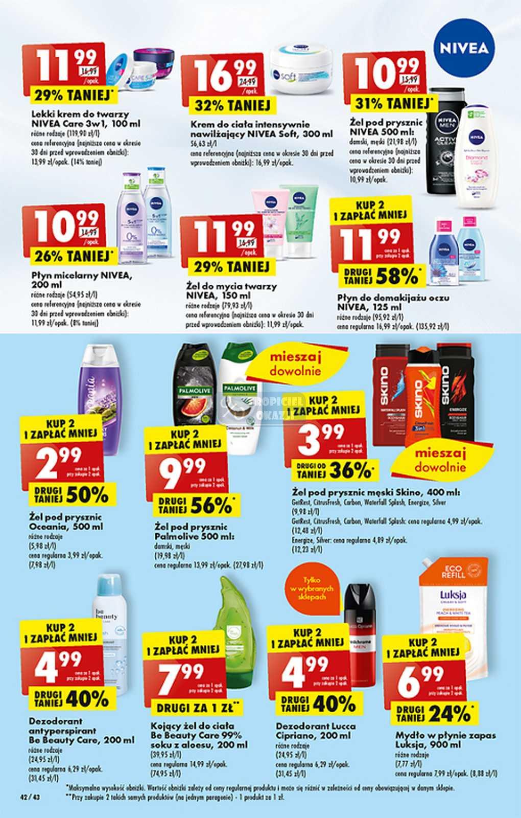 Gazetka promocyjna Biedronka do 25/03/2023 str.42