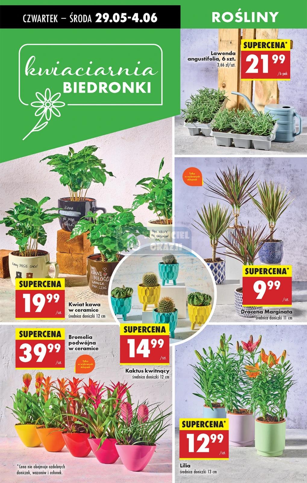 Gazetka promocyjna Biedronka do 04/06/2025 str.60