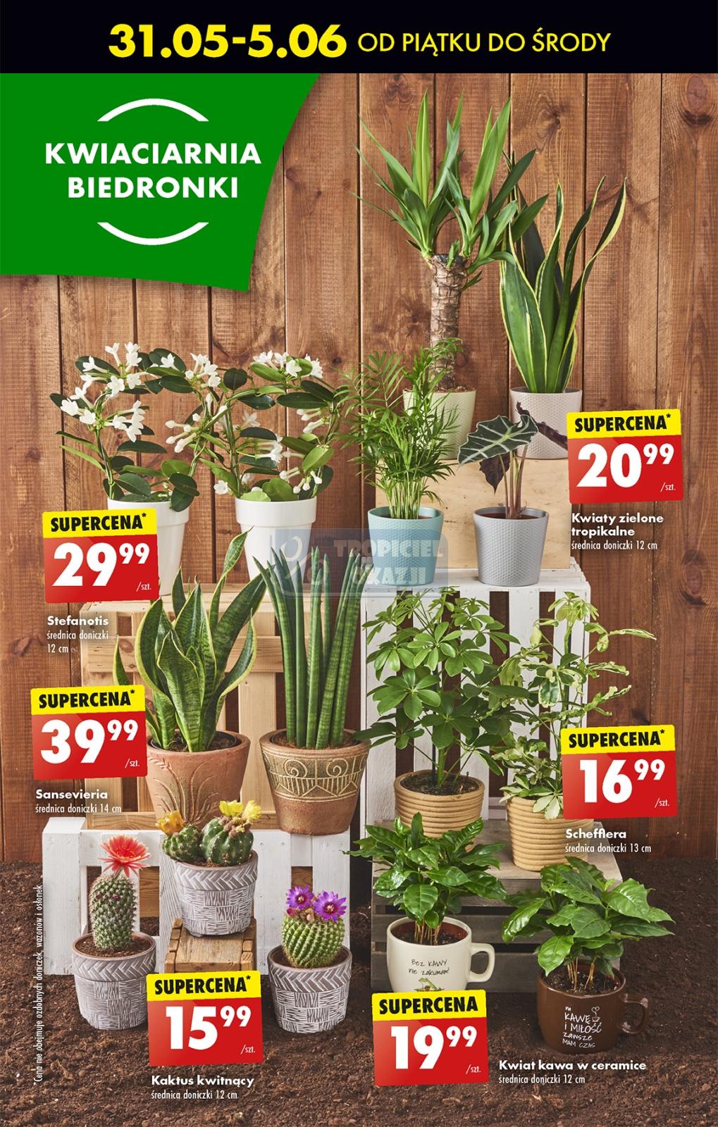 Gazetka promocyjna Biedronka do 05/06/2024 str.57