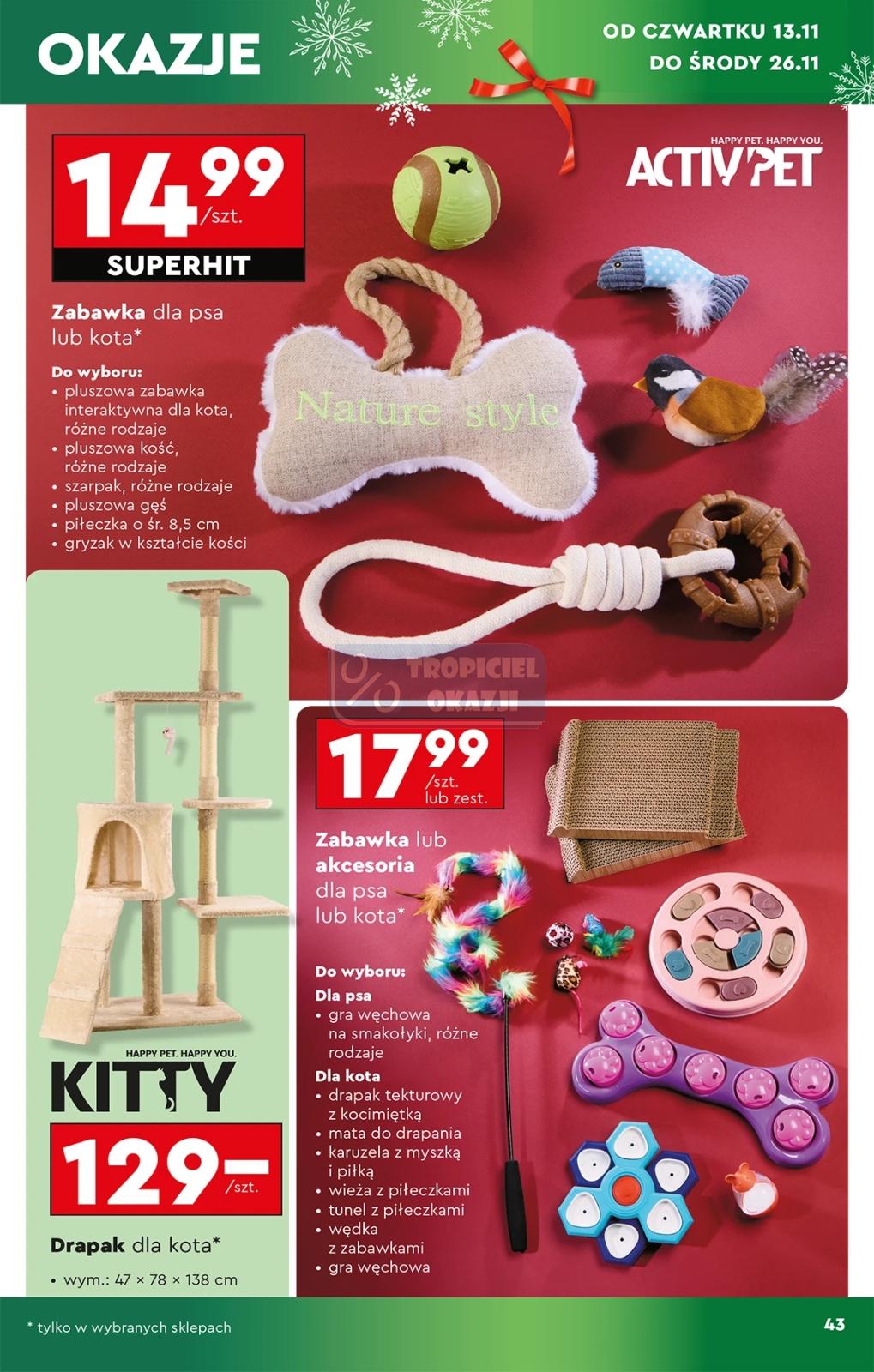 Gazetka promocyjna Biedronka do 26/11/2025 str.45