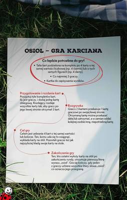 Czas na grilla