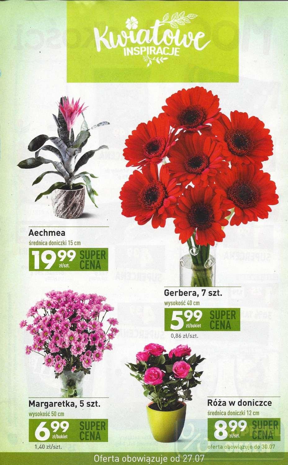 Gazetka promocyjna Biedronka do 02/08/2017 str.23