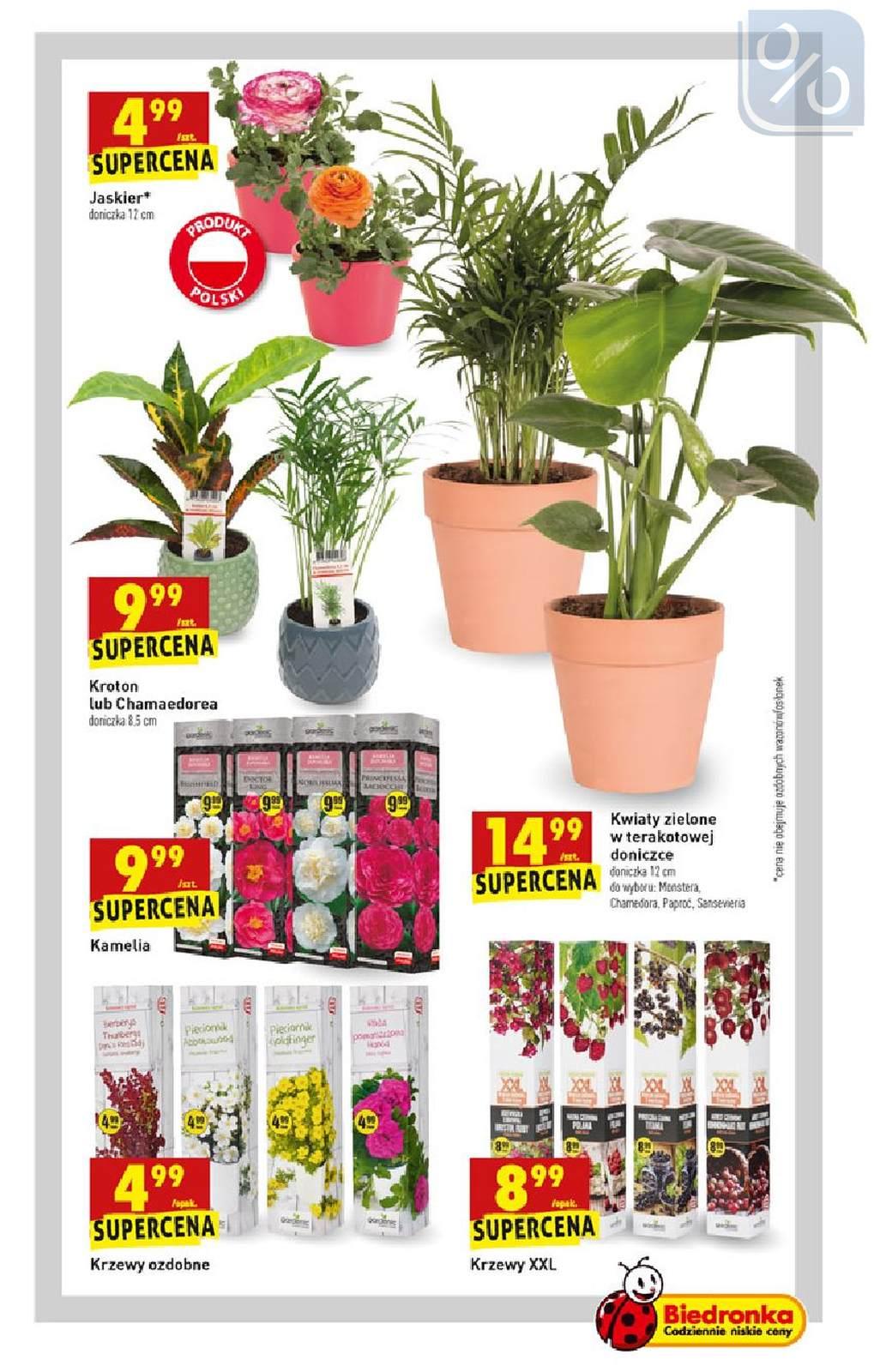 Gazetka promocyjna Biedronka do 10/04/2019 str.63