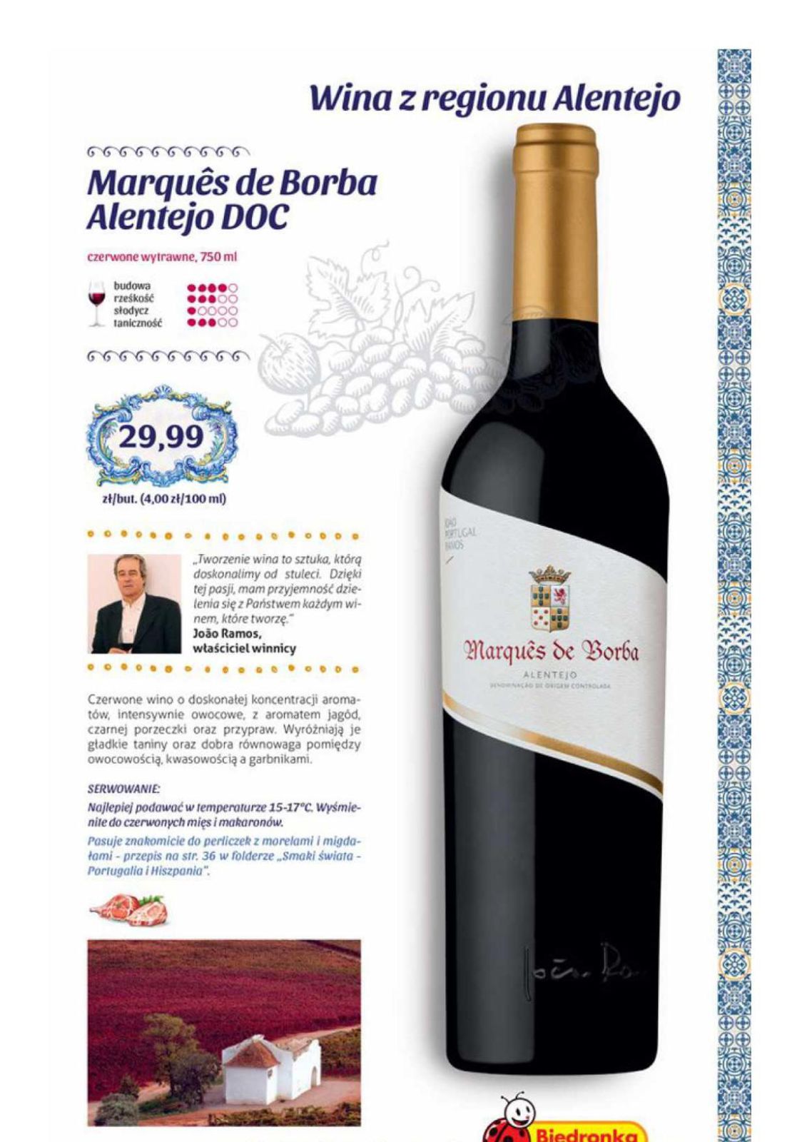 Gazetka promocyjna Biedronka do 19/06/2016 str.13