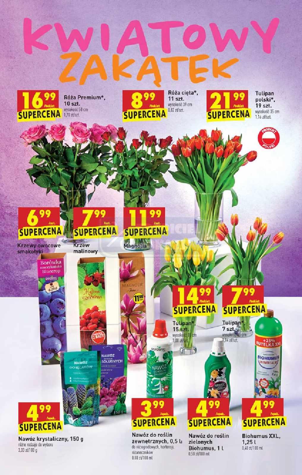 Gazetka promocyjna Biedronka do 25/03/2020 str.61