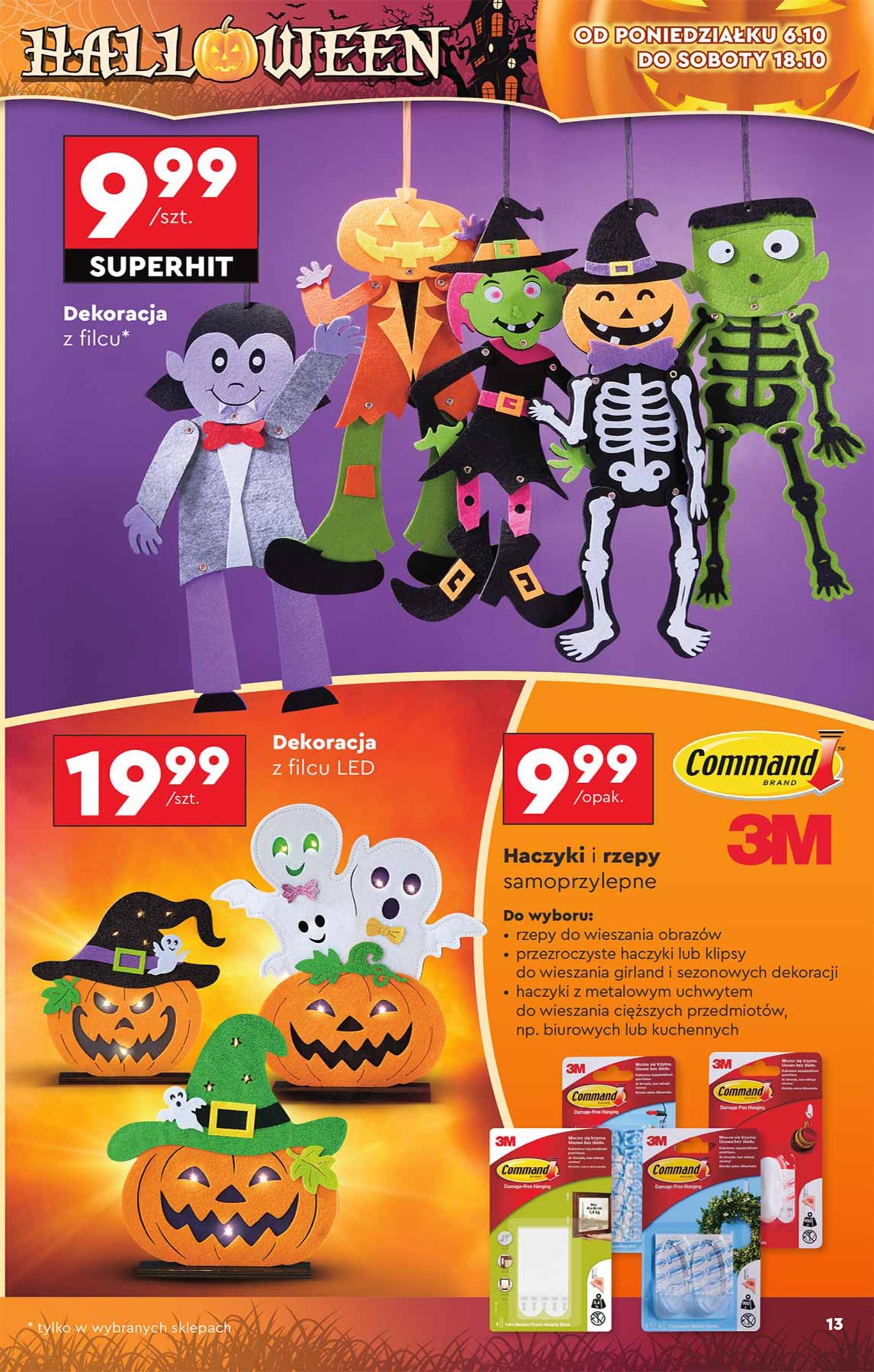 Gazetka promocyjna Biedronka do 22/10/2025 str.13