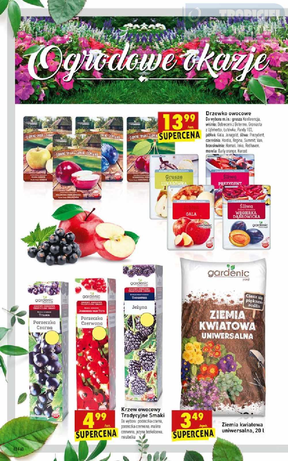 Gazetka promocyjna Biedronka do 16/03/2019 str.62