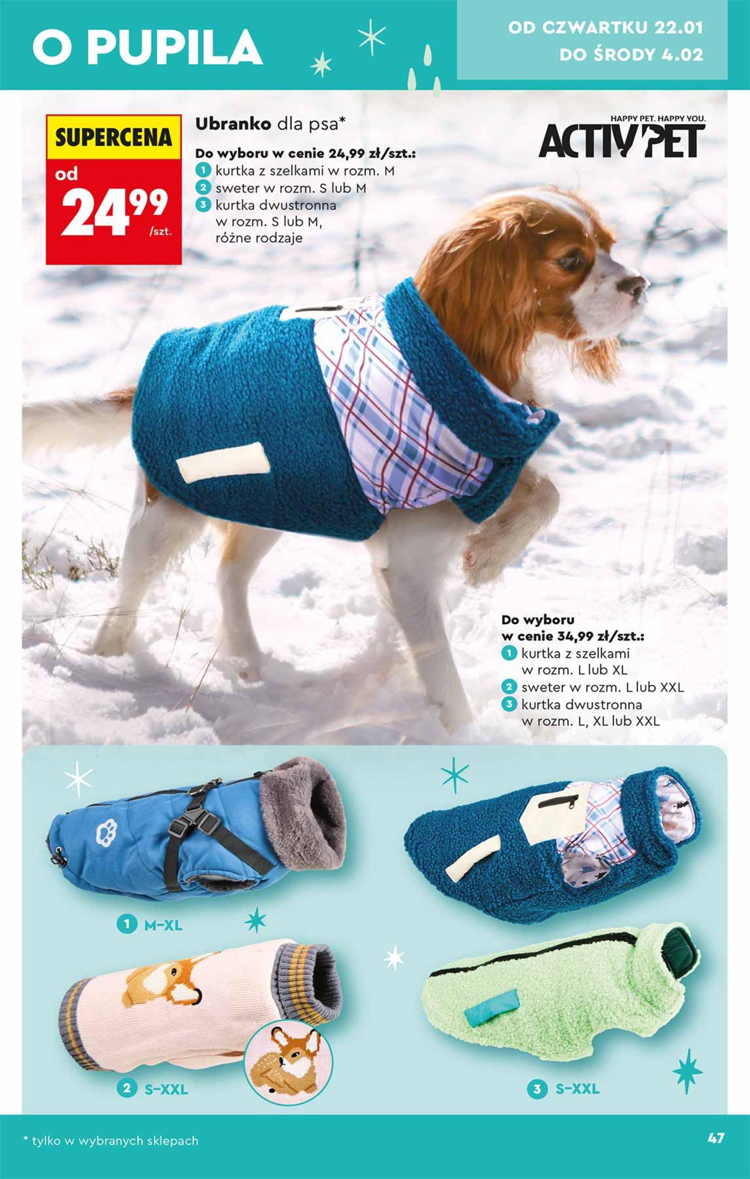 Gazetka promocyjna Biedronka do 04/02/2026 str.47