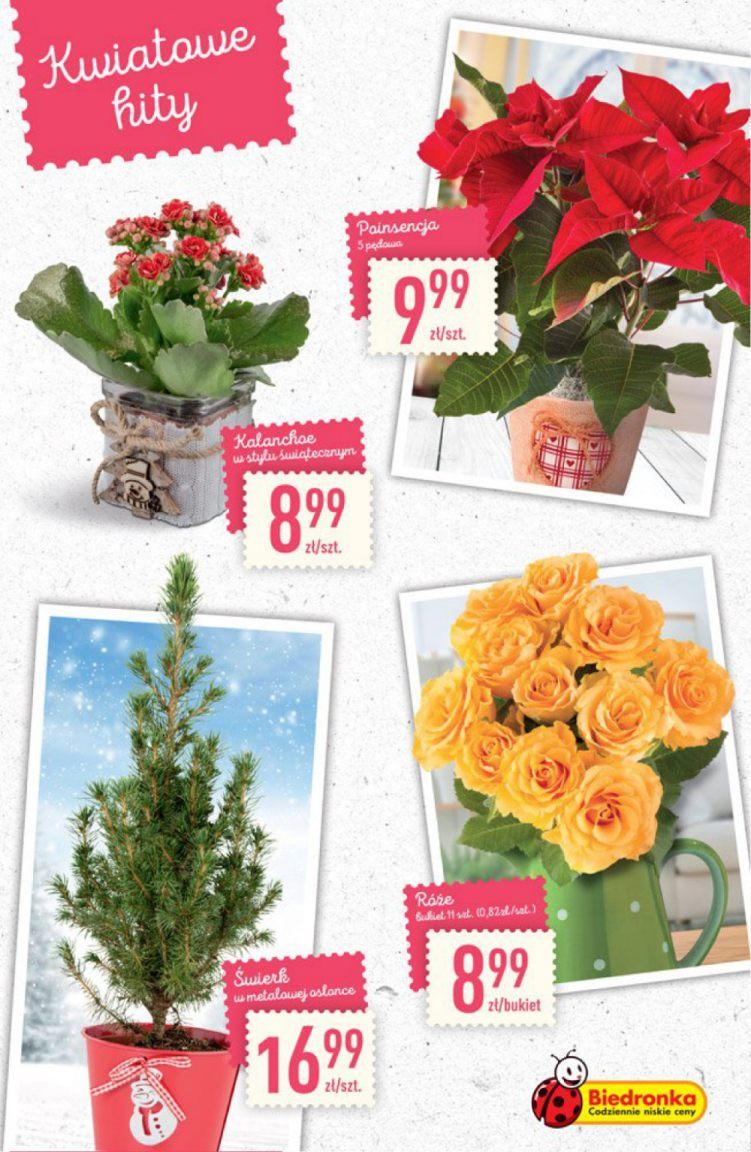 Gazetka promocyjna Biedronka do 18/12/2016 str.20