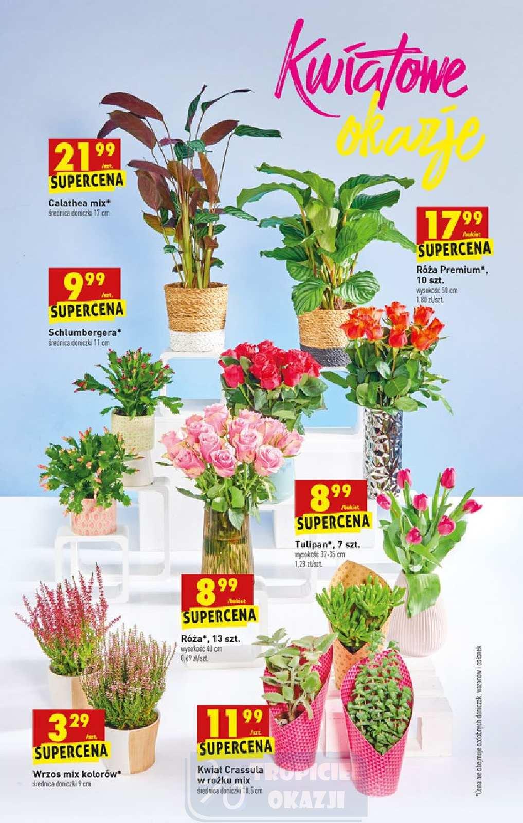 Gazetka promocyjna Biedronka do 21/10/2020 str.64