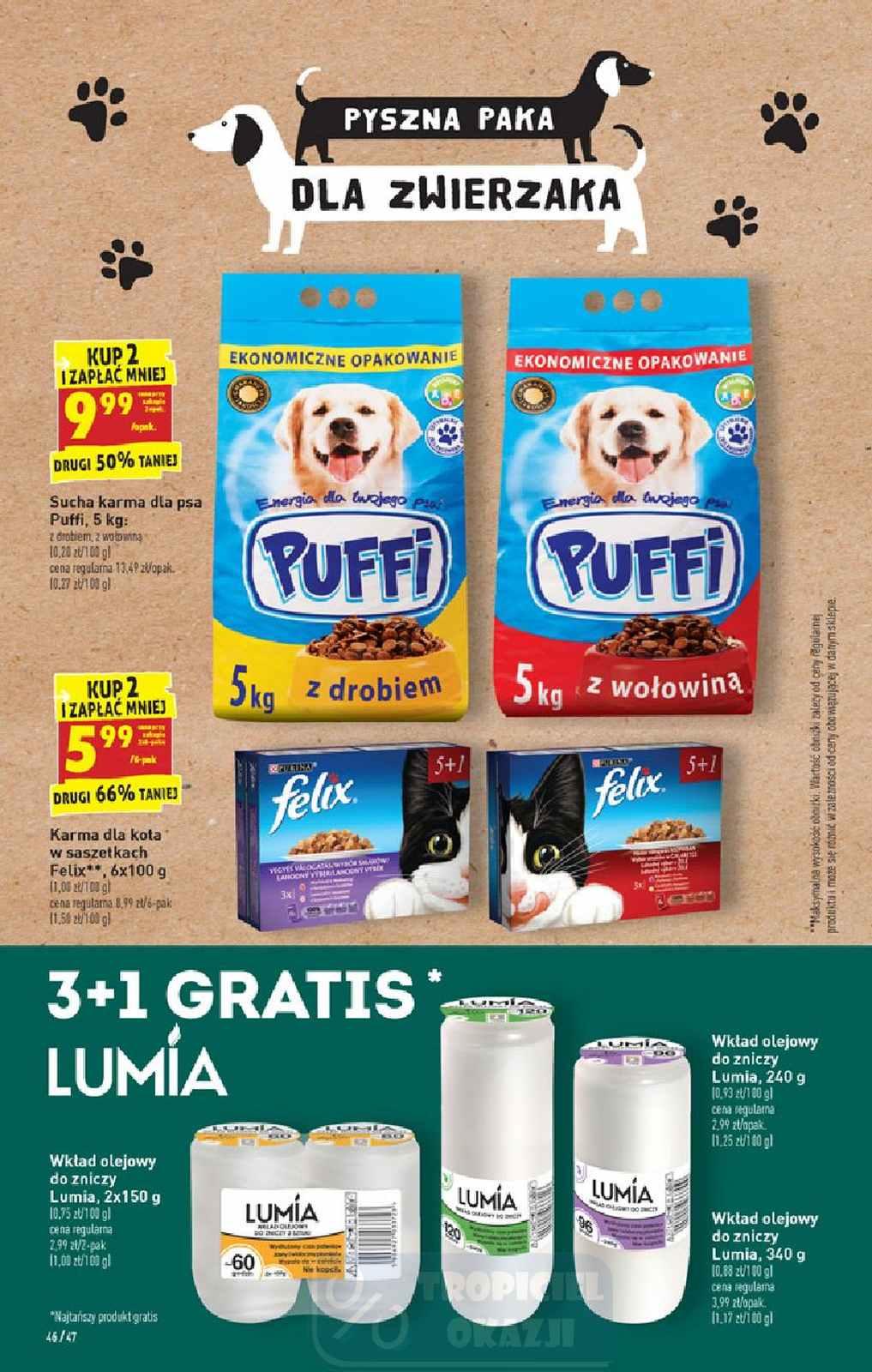 Gazetka promocyjna Biedronka do 28/06/2020 str.46
