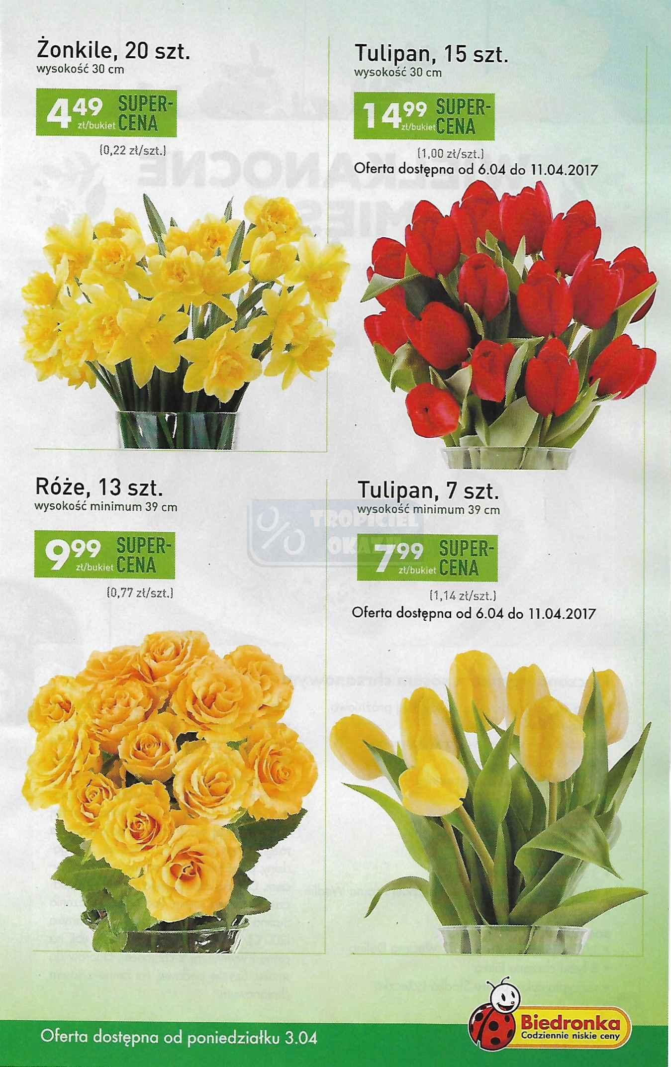 Gazetka promocyjna Biedronka do 09/04/2017 str.25