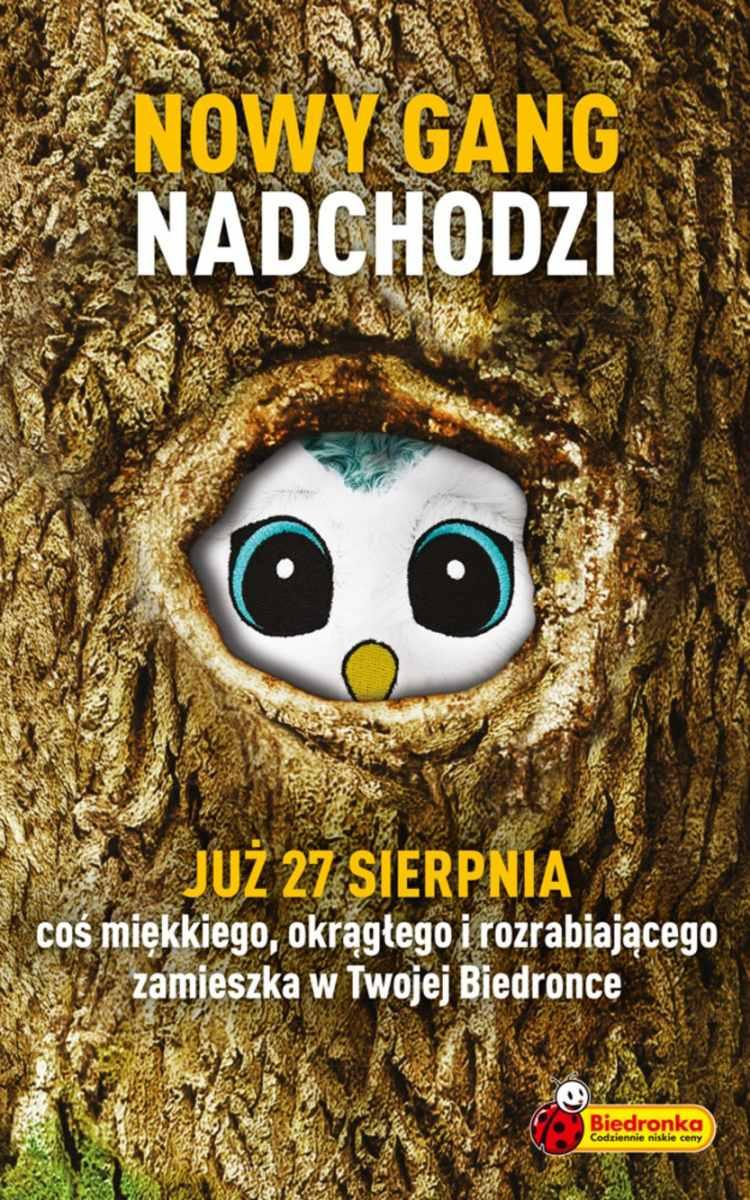 Gazetka promocyjna Biedronka do 29/08/2018 str.40