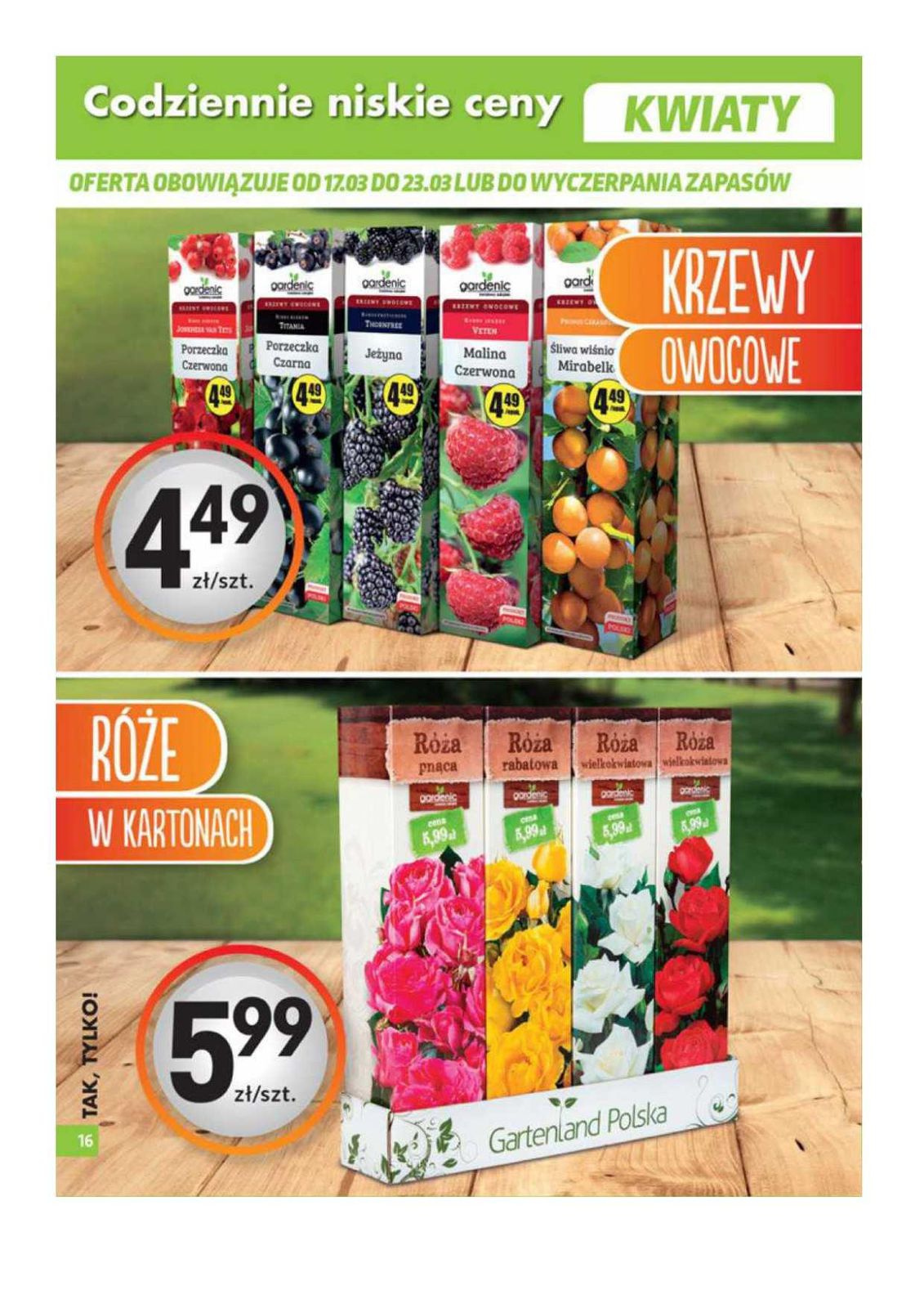 Gazetka promocyjna Biedronka do 23/03/2016 str.15