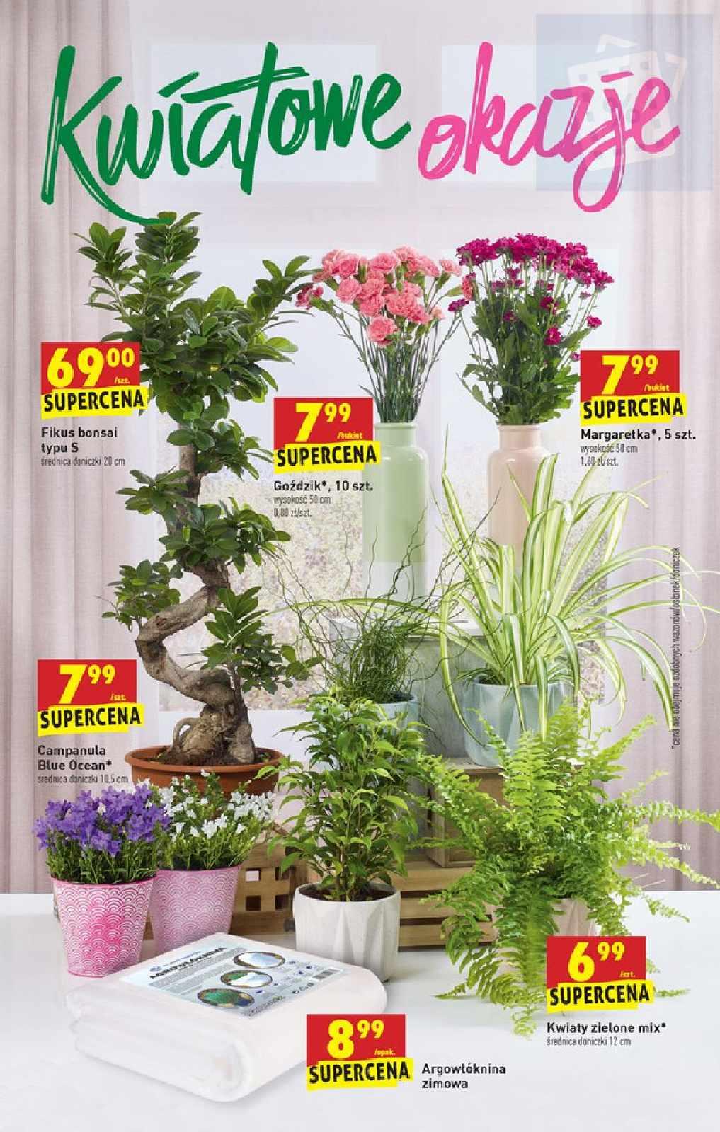 Gazetka promocyjna Biedronka do 12/10/2019 str.56