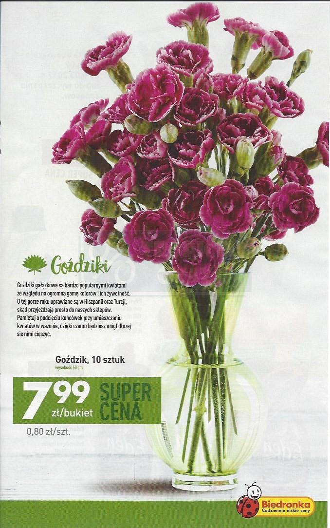 Gazetka promocyjna Biedronka do 26/02/2017 str.23