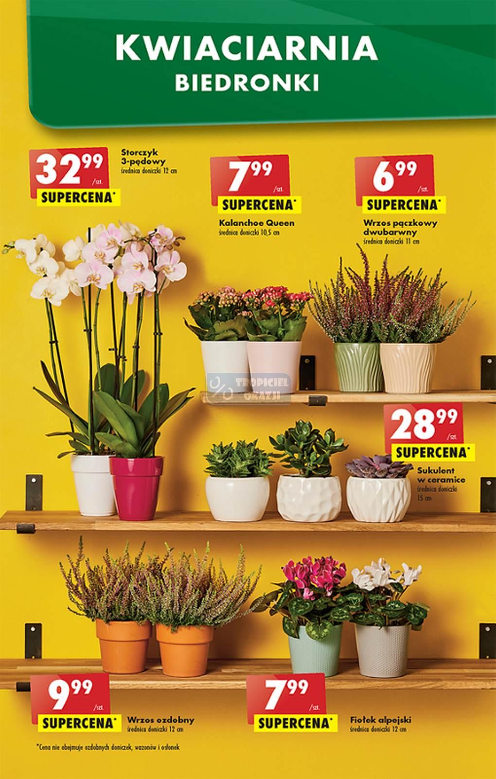 Gazetka promocyjna Biedronka do 05/10/2022 str.56