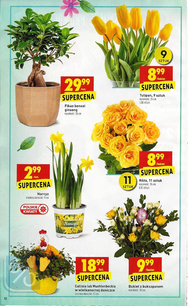 Gazetka promocyjna Biedronka do 04/04/2018 str.13