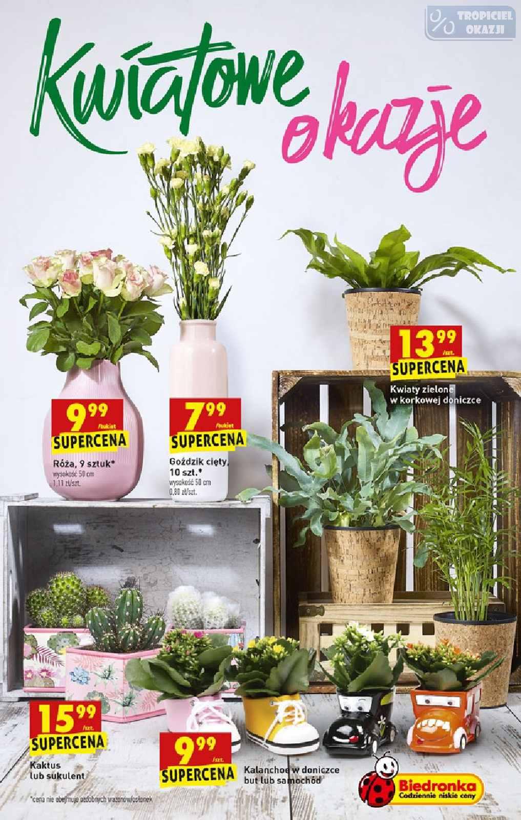 Gazetka promocyjna Biedronka do 15/06/2019 str.61