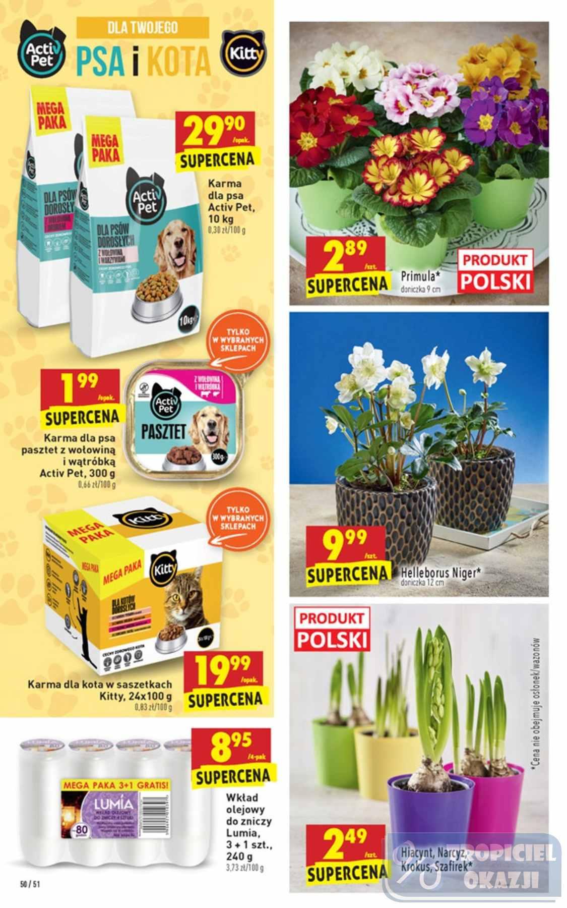 Gazetka promocyjna Biedronka do 30/01/2019 str.50