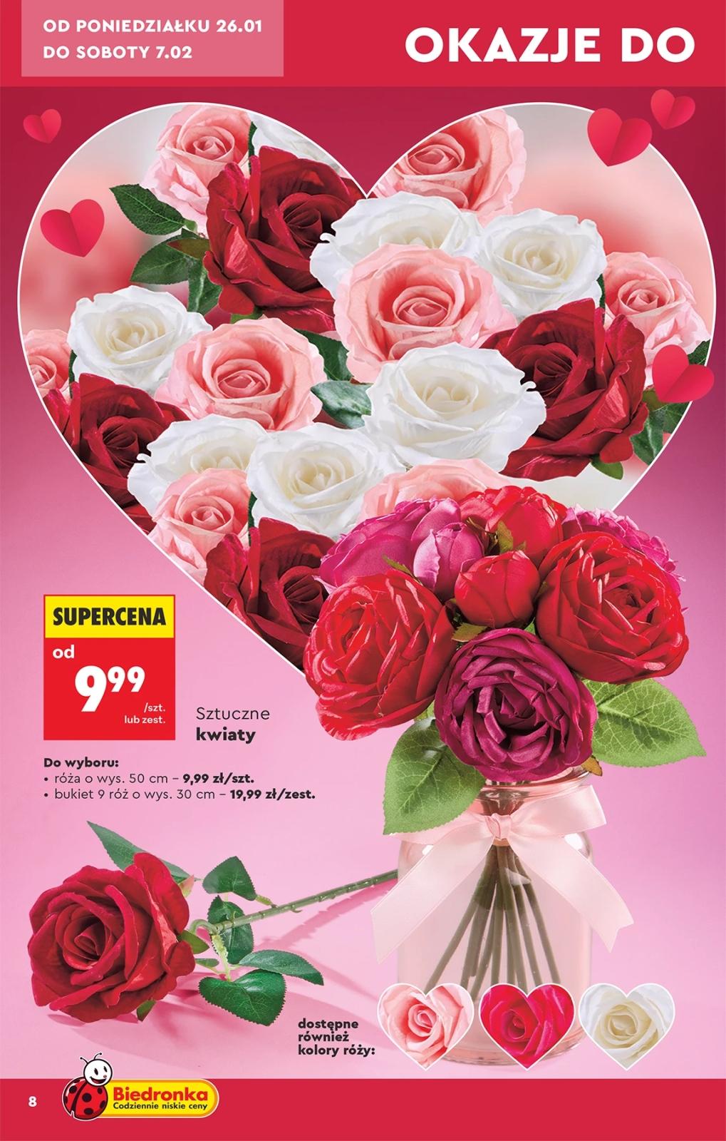 Gazetka promocyjna Biedronka do 11/02/2026 str.10