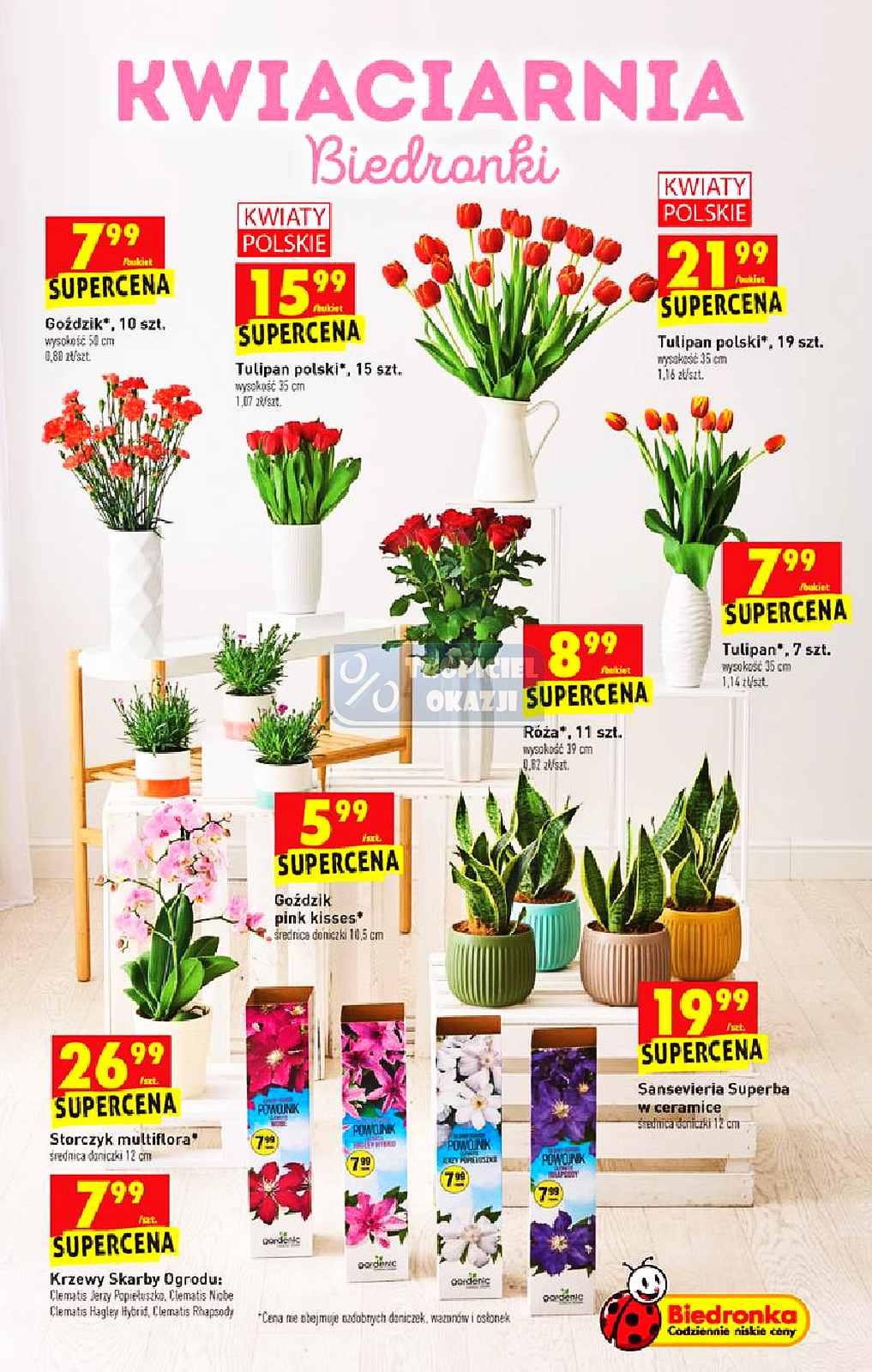 Gazetka promocyjna Biedronka do 05/05/2021 str.53