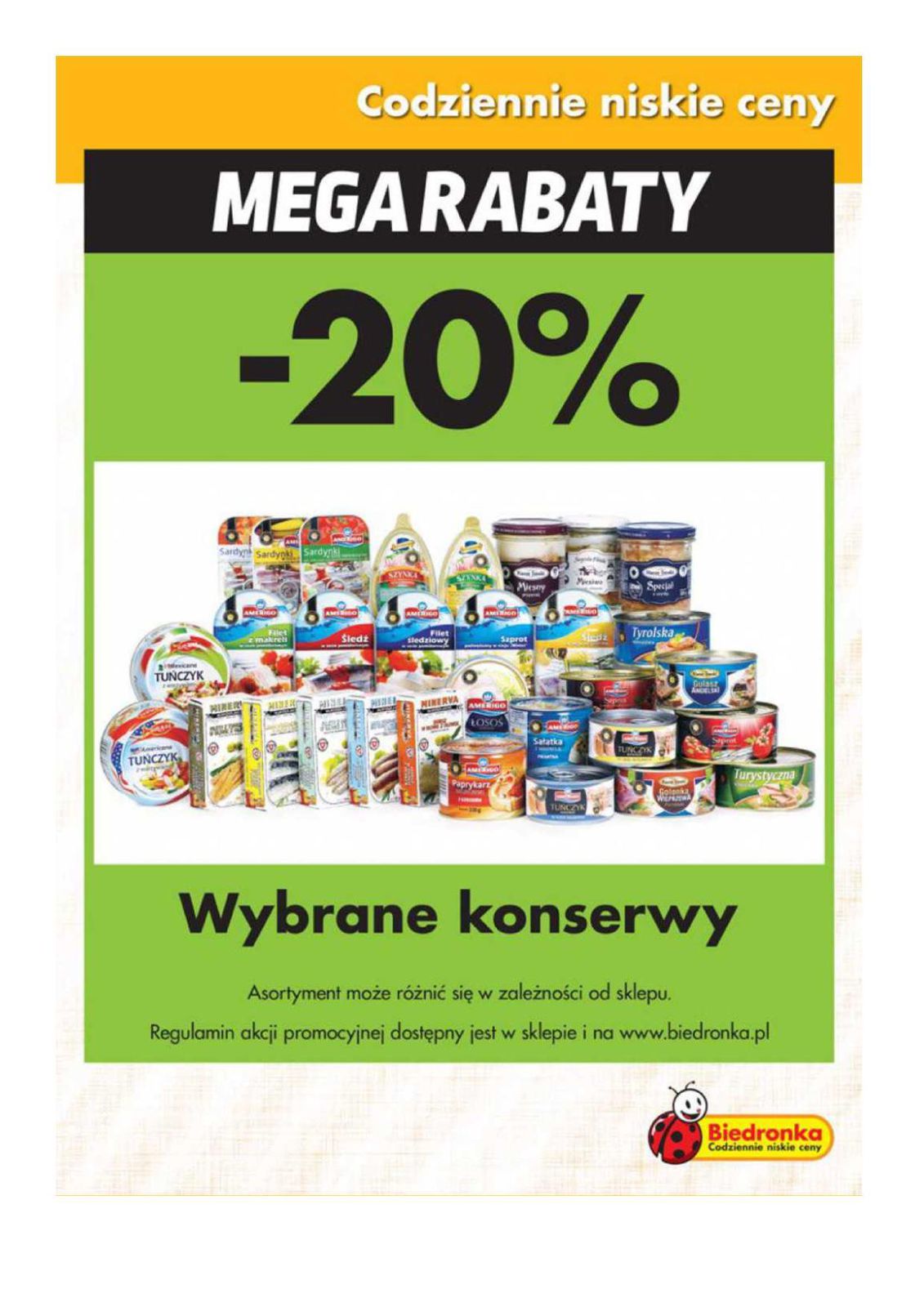 Gazetka promocyjna Biedronka do 27/01/2016 str.13