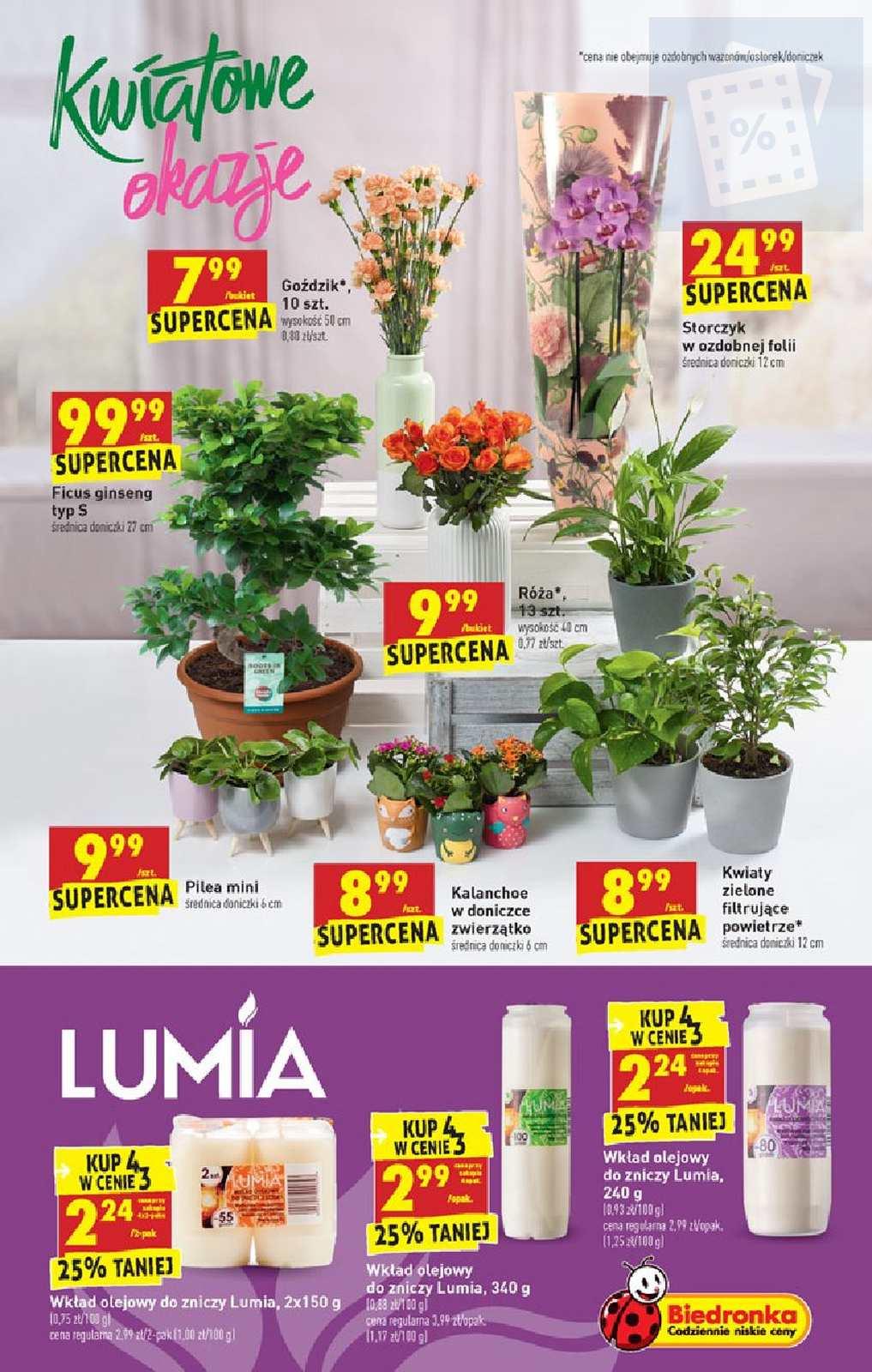 Gazetka promocyjna Biedronka do 16/11/2019 str.55