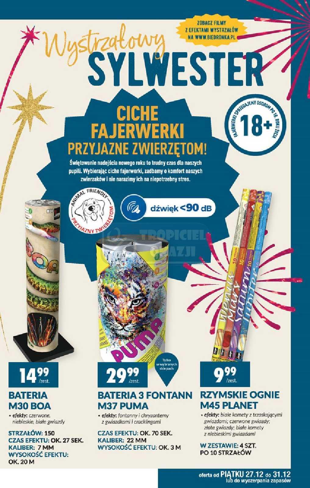 Gazetka promocyjna Biedronka do 29/12/2019 str.13
