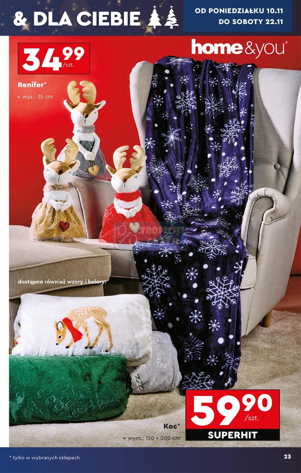 Gazetka promocyjna Biedronka do 26/11/2025 str.25