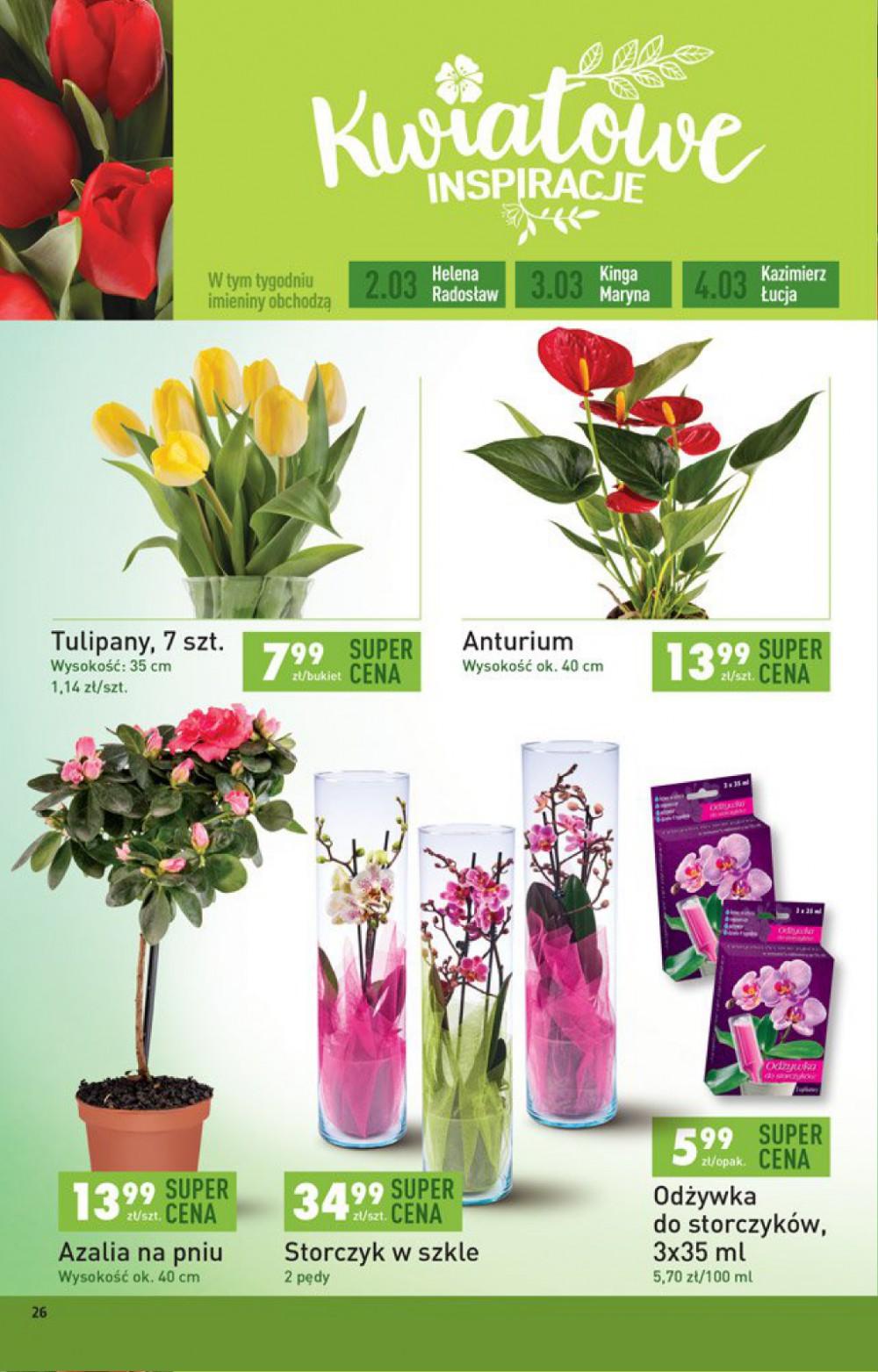 Gazetka promocyjna Biedronka do 08/03/2017 str.26