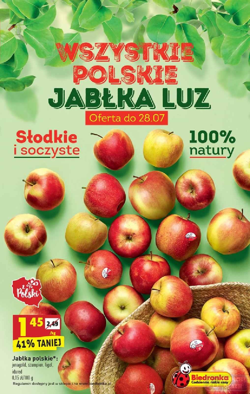 Gazetka promocyjna Biedronka do 31/07/2019 str.4