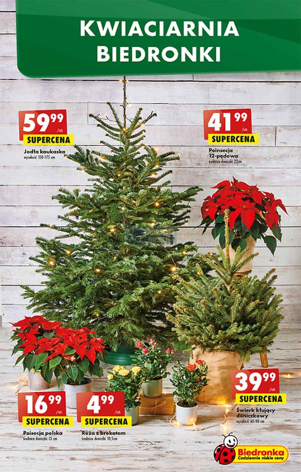 Gazetka promocyjna Biedronka do 14/12/2022 str.56