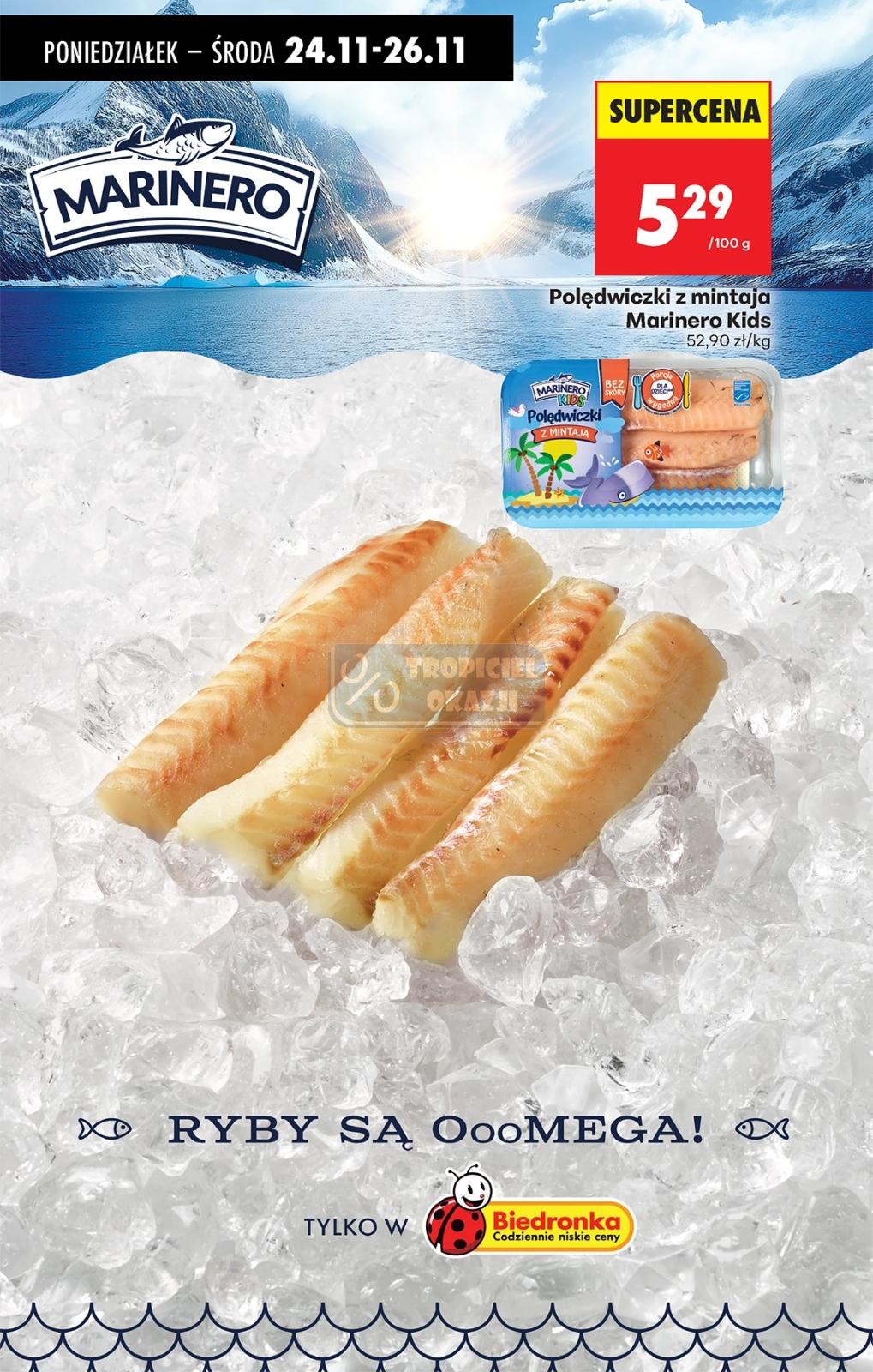 Gazetka promocyjna Biedronka do 29/11/2025 str.42