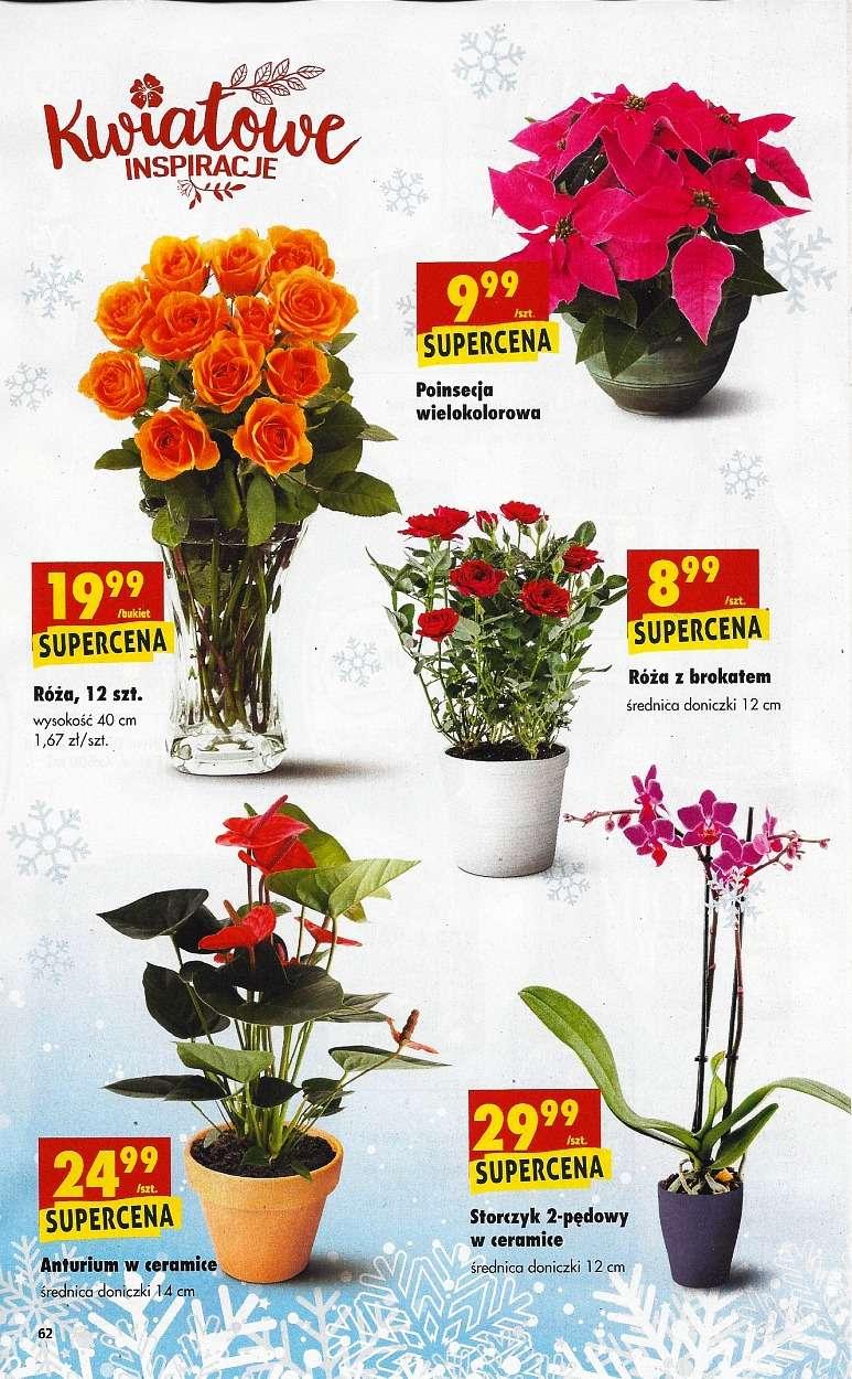 Gazetka promocyjna Biedronka do 24/12/2017 str.62