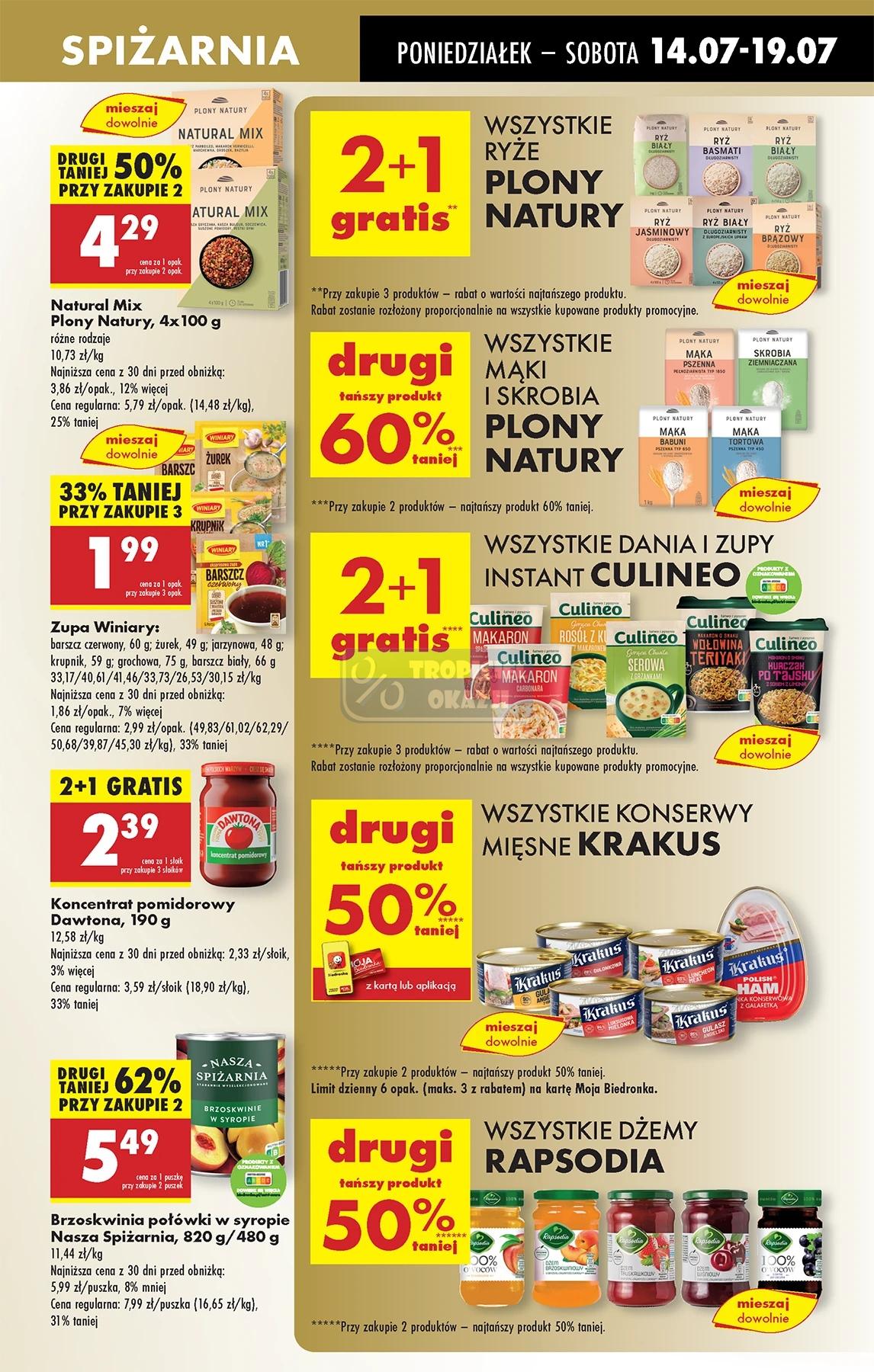 Gazetka promocyjna Biedronka do 19/07/2025 str.41