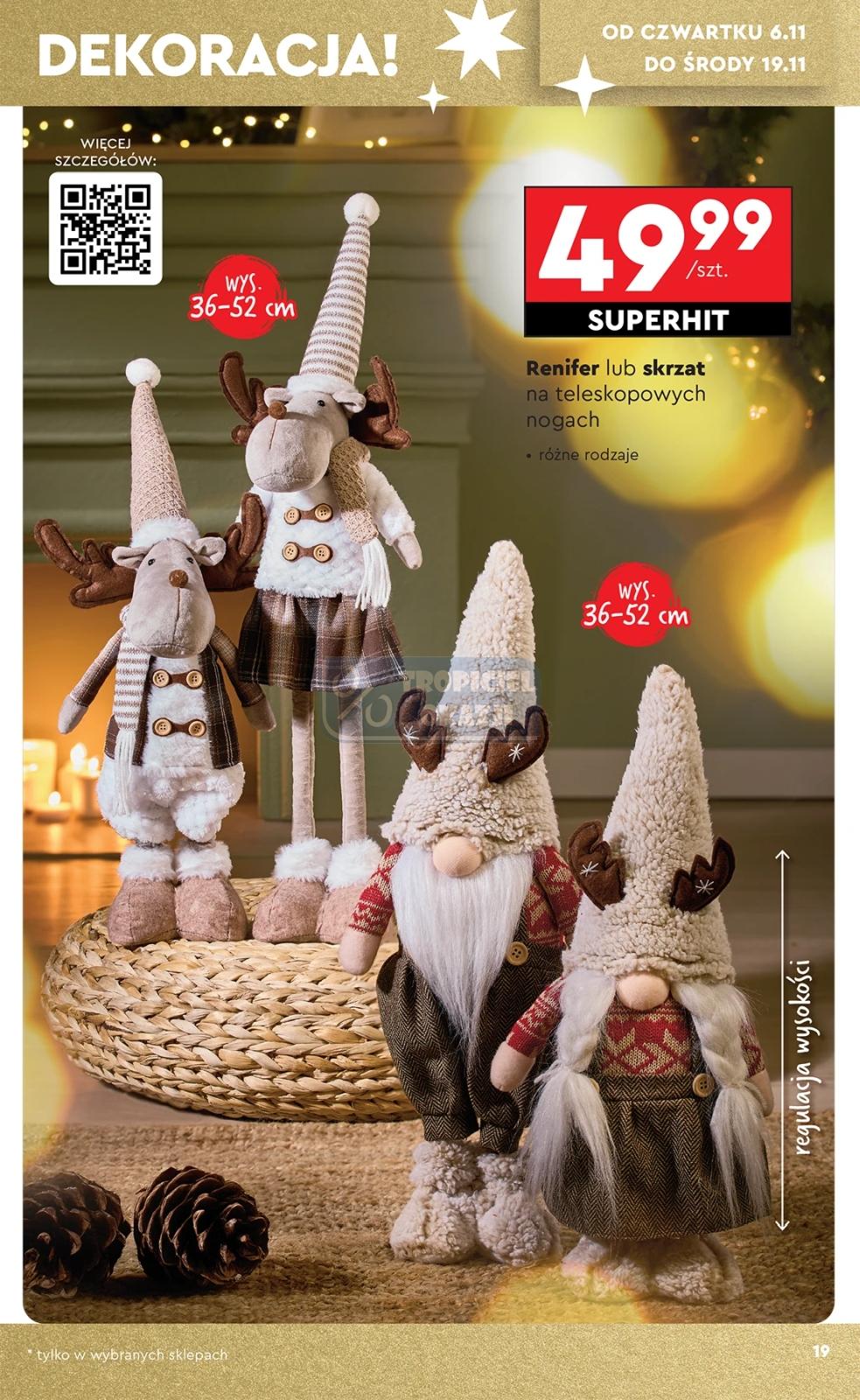 Gazetka promocyjna Biedronka do 19/11/2025 str.19