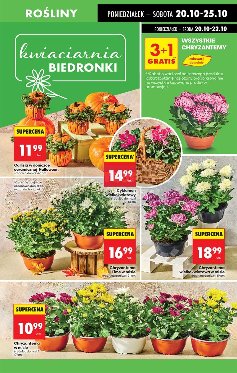 Gazetka promocyjna Biedronka do 26/10/2025 str.63