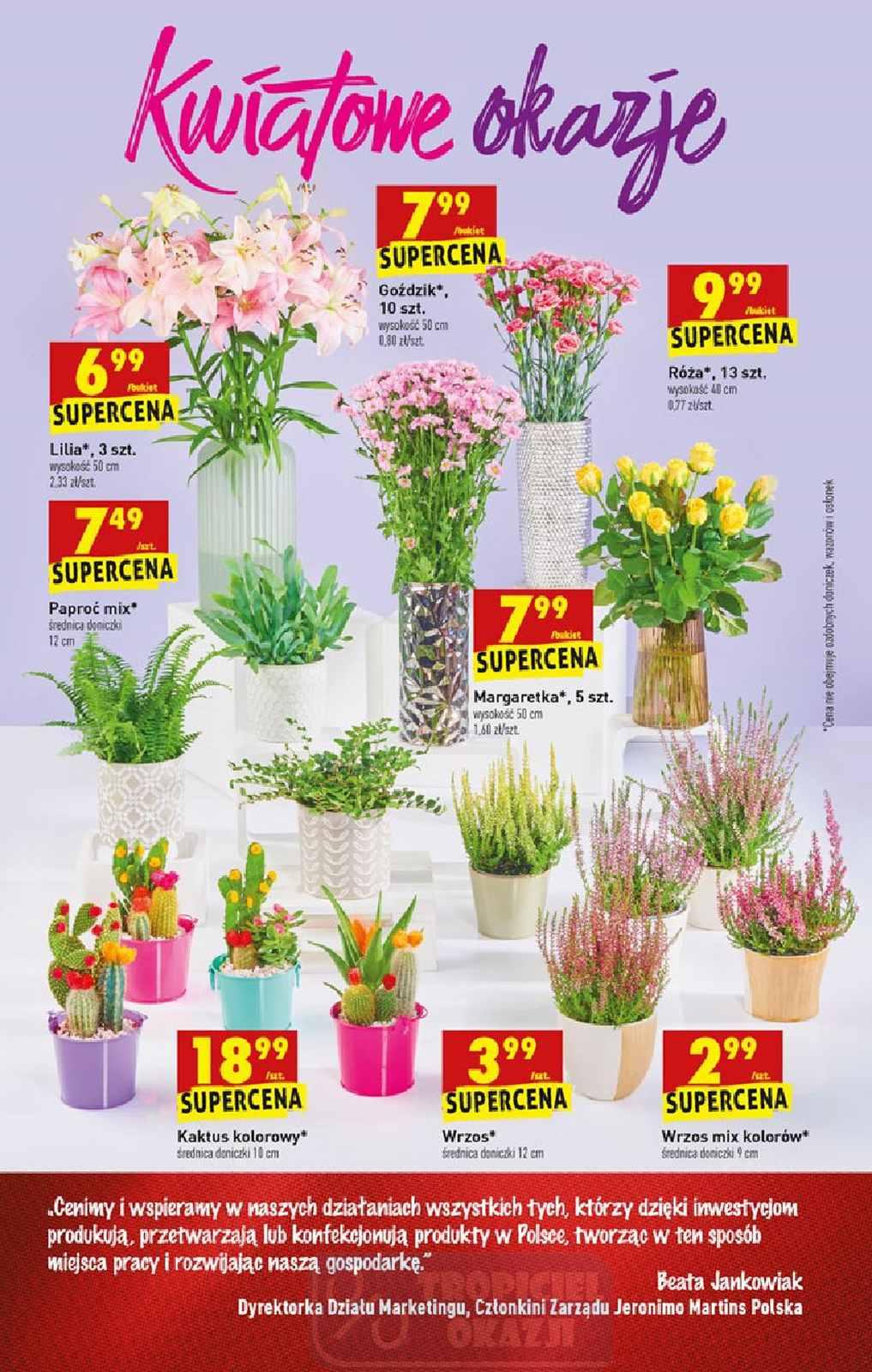 Gazetka promocyjna Biedronka do 19/09/2020 str.55