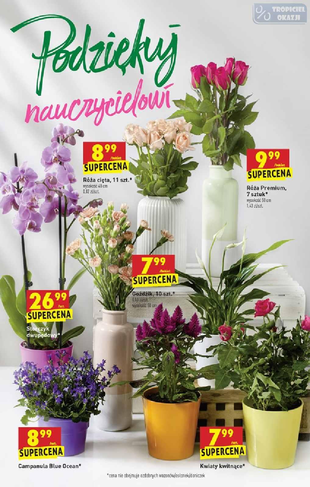 Gazetka promocyjna Biedronka do 22/06/2019 str.72