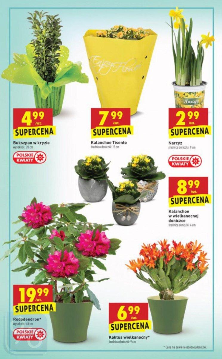 Gazetka promocyjna Biedronka do 31/03/2018 str.34